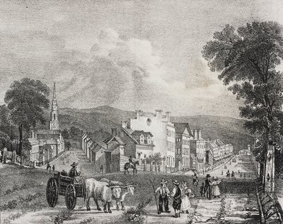 Vista de Utica, Estados Unidos de América, litografía de Salvatore Puglia de Poliorama Pittoresco, n 49, 13 de julio de Salvatore Puglia