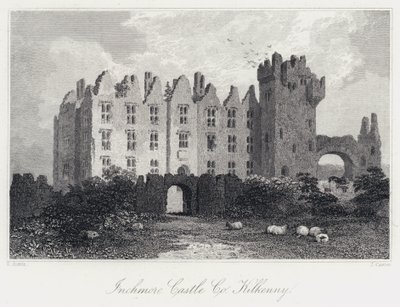 Castillo de Inchmore, Co Kilkenny de Samuel (after) Austin