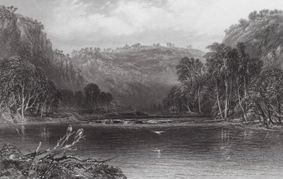 Australia: En el río Cow Pasture (grabado) de Samuel (after) Prout