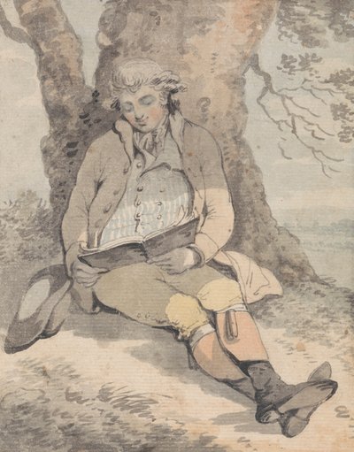P. Wilkinson Esq. Sentado a la sombra de un roble aprendiendo a silbar de Samuel Alken