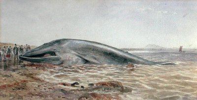La ballena de Aberlady, Longriddy Bay de Samuel Bough