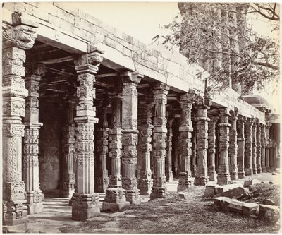 Columnata reunió ornamenten aan de base van de Qutb Minar en Delhi Colonnade of Hindoo Pillars, en Kútub, East Side (título original del objeto) de Samuel Bourne (signed by artist)