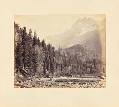  de Samuel Bourne