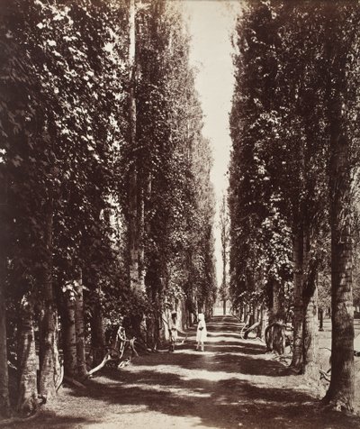  de Samuel Bourne