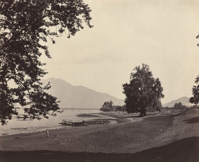 Escena de Cachemira, c. 1865 de Samuel Bourne