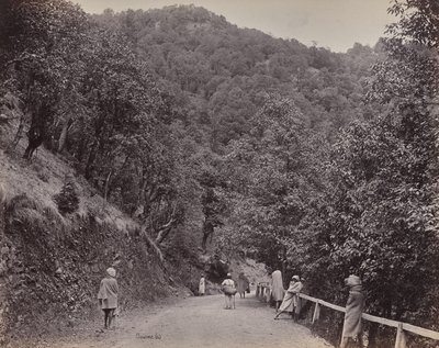Shimla. El Mall o la calle principal de Samuel Bourne