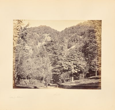 Simla; Jakko, desde "Oakover" (Vista general desde la carretera de Tonga) de Samuel Bourne