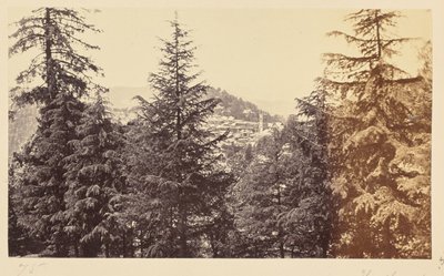 Simla; La iglesia a través de los árboles, de Jakko de Samuel Bourne