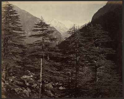 Picos nevados cerca de Gangotri, desde Bhairamghati de Samuel Bourne