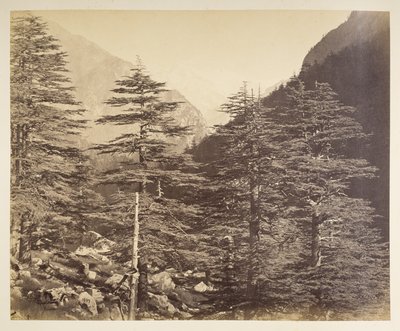 Picos nevados cerca de Gangootri desde Bhairamghati. Fotógrafo: Bourne, Samuel Álbum de fotografías de la India, principalmente por Samuel Bourne1866 de Samuel Bourne