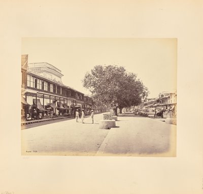 La Chandni-Chouk, calle principal de Delhi de Samuel Bourne