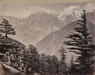 El Alto Himalaya. Vista cerca de las montañas de China. Cedros del Himalaya en primer plano de Samuel Bourne