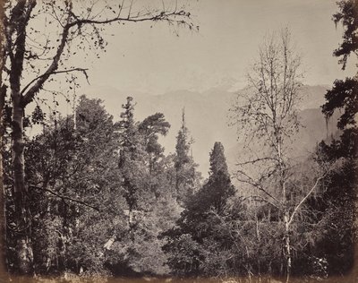 El Alto Himalaya. Vista del monte Bunderpoonch con el pico Jumnootri, 20,458 sobre el nivel del mar de Samuel Bourne