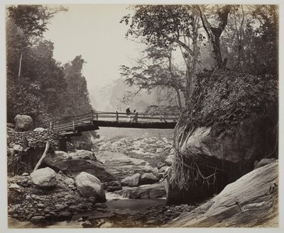 Sin título [puente peatonal sobre un río] de Samuel Bourne
