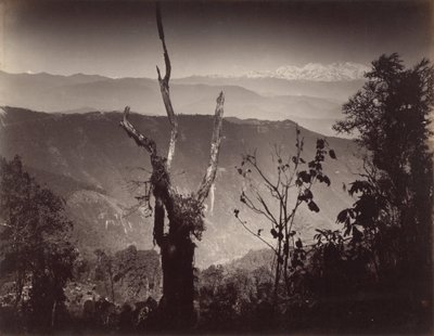 Vista desde Senehal de Samuel Bourne