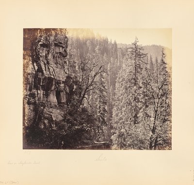 Vista en el bosque de Narkunda de Samuel Bourne