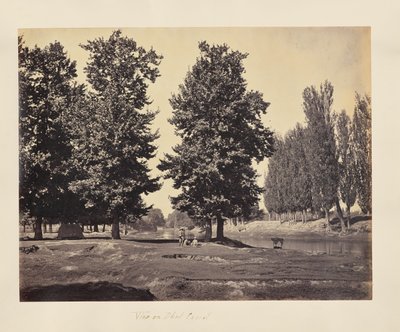 Vista del canal de Dhul de Samuel Bourne