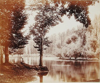 Vista en el canal Dhul, Cachemira, c.1865 de Samuel Bourne
