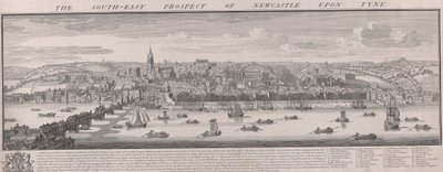 S.E. Prospecto de Newcastle de Samuel Buck
