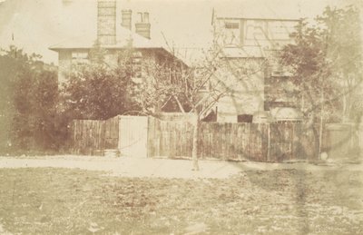 Árbol en el patio, 1850s de Samuel Buckle