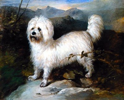 Pequeño perro blanco en un paisaje de Samuel Coleman