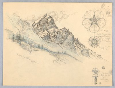 Antelao, desde Cortina, con estudios de flores de Samuel Colman