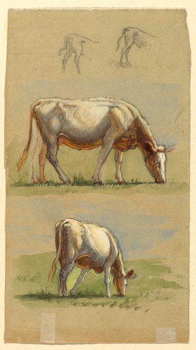 Ganado, dos vacas pastando y los lomos de terneros de Samuel Colman