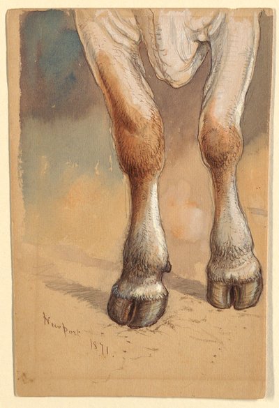 Patas delanteras de una vaca o buey de pie, Newport de Samuel Colman