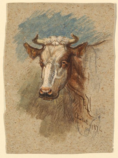 Cabeza de una Vaca, Étretat de Samuel Colman
