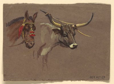 Cabeza de una mula con brida, cabeza de un búfalo o buey de Samuel Colman
