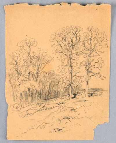 Boceto de paisaje con un camino rural montañoso de Samuel Colman