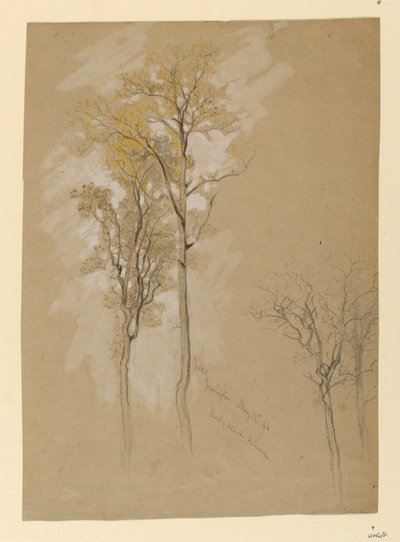 Robles, Lady Wood Lane, Irvington de Samuel Colman
