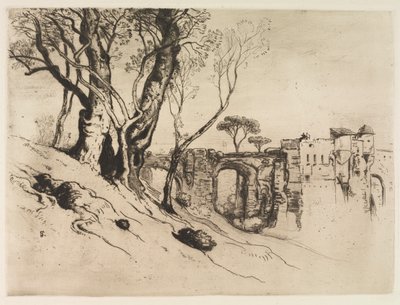 Olivos de la Riviera de Samuel Colman
