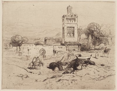 Ruinas de una Mezquita, Tlemcen, Argelia de Samuel Colman