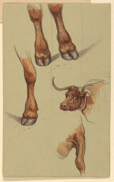 Bocetos de Narragansett, Rhode Island de Samuel Colman
