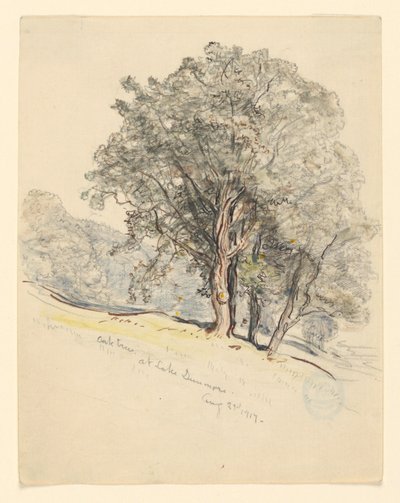 Estudio de robles en el lago Dunmore, Vermont de Samuel Colman