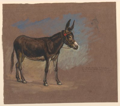 Estudio de una mula de Samuel Colman