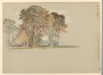 Los pinos de El Monte, California de Samuel Colman