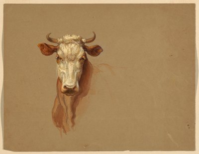 Dos Estudios de Ganado de Samuel Colman