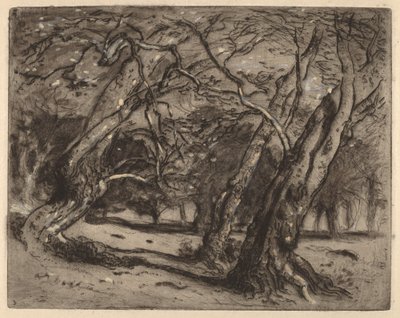 Sin título (Paisaje boscoso) de Samuel Colman