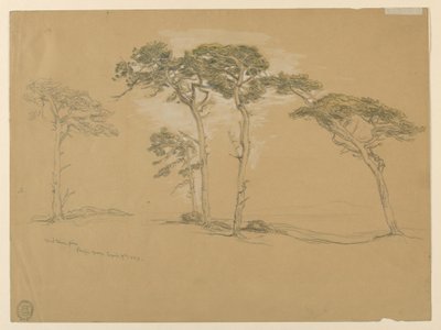 Pinos azotados por el viento, Pacific Grove. Reverso: Carretera de la costa del Pacífico a Point Sur. de Samuel Colman