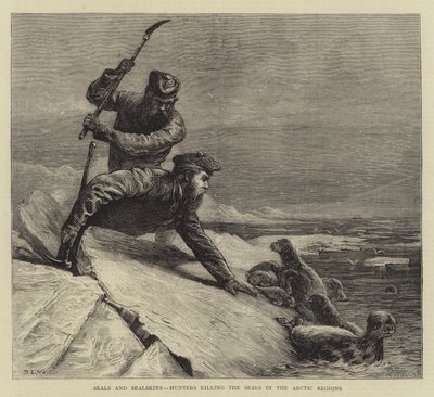 Focas y pieles de foca, cazadores matando focas en las regiones árticas de Samuel Edmund Waller
