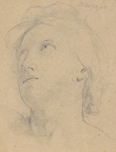 Estudio para El juicio de Júpiter (Marpessa, cabeza) de Samuel Finley Breese Morse