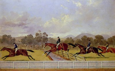 Una carrera de obstáculos de Samuel Henry Alken