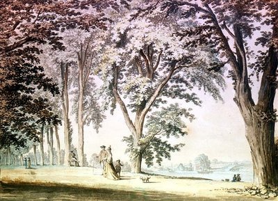 Árboles junto al Támesis frente a Hammersmith de Samuel Hieronymous Grimm