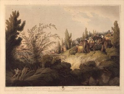 Expulsando un tigre de una jungla, de "Deportes de campo orientales", publicado por Edward Orme de Samuel Howett