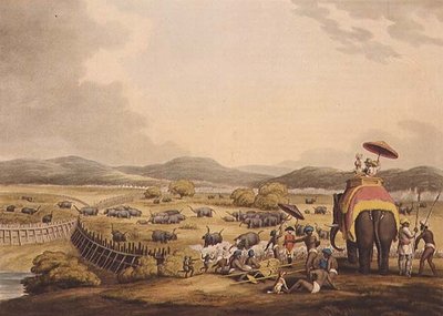 Conduciendo elefantes a un Keddah, de "Deportes de campo orientales", pub. por Edward Orme de Samuel Howett