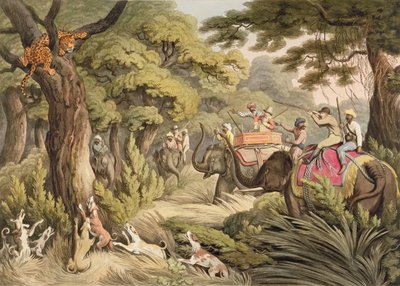Cazando un leopardo, de Deportes de campo orientales, pub. por Edward Orme, 1807 de Samuel Howett