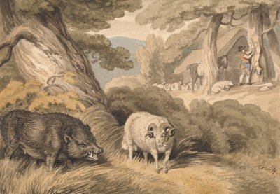 Un jabalí y un carnero de Samuel Howitt