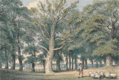 Paisaje de parque con pastor y ovejas de Samuel Howitt